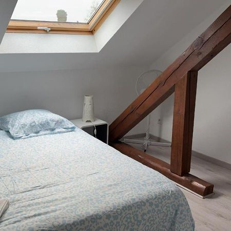 Le Manoir De Cyrielle A 10 Min Du Centre De Strasbourg Apartment Bischheim Екстериор снимка